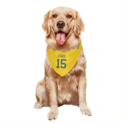 Green Bay Packers Bart Starr Gold Pet Bandana for Dog & Cat