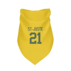 Green Bay Packers Benjamin St-Juste Gold Pet Bandana for Dog & Cat