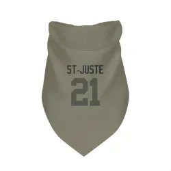 Green Bay Packers Benjamin St-Juste Olive Pet Bandana for Dog & Cat