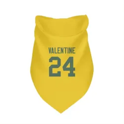 Green Bay Packers Carrington Valentine Gold Pet Bandana for Dog & Cat