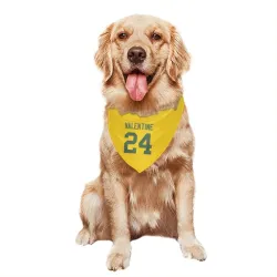 Green Bay Packers Carrington Valentine Gold Pet Bandana for Dog & Cat