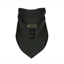 Green Bay Packers Christian Watson Black Service Pet Bandana for Dog & Cat