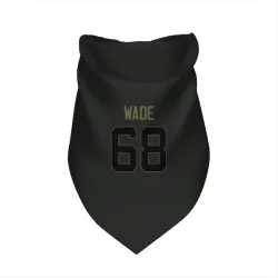 Green Bay Packers Dillon Wade Black Service Pet Bandana for Dog & Cat