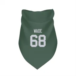 Green Bay Packers Dillon Wade Green Pet Bandana for Dog & Cat