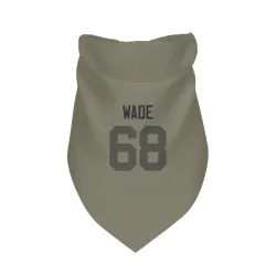 Green Bay Packers Dillon Wade Olive Pet Bandana for Dog & Cat