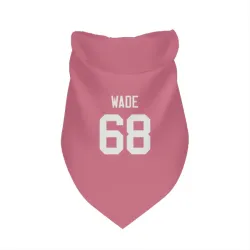 Green Bay Packers Dillon Wade Pink Pet Bandana for Dog & Cat