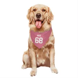 Green Bay Packers Dillon Wade Pink Pet Bandana for Dog & Cat