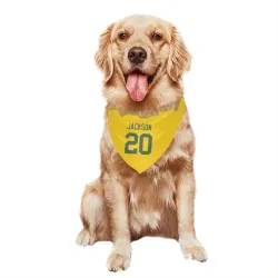 Green Bay Packers Domani Jackson Gold Pet Bandana for Dog & Cat