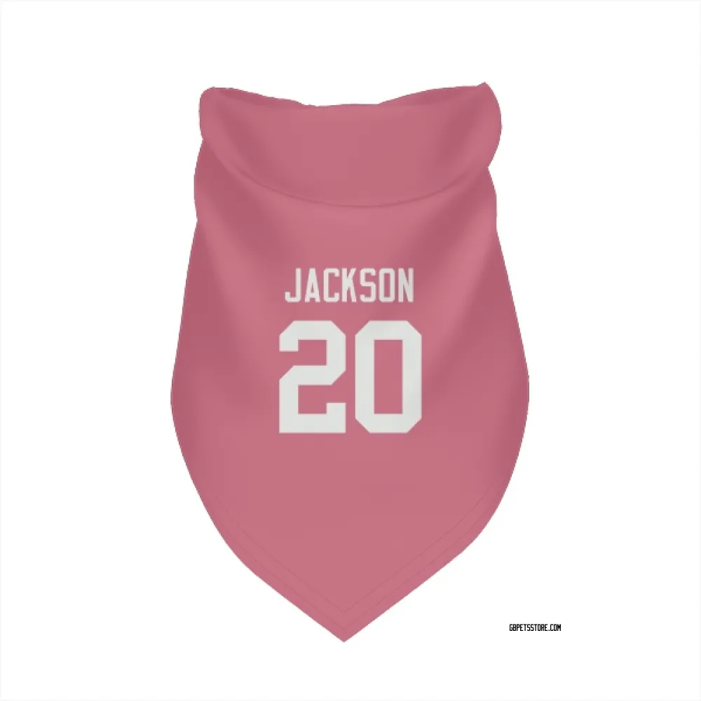 Green Bay Packers Domani Jackson Pink Pet Bandana for Dog & Cat