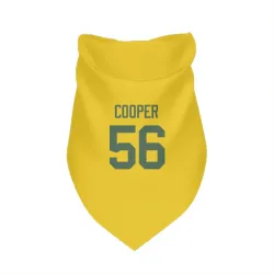 Green Bay Packers Edgerrin Cooper Gold Pet Bandana for Dog & Cat