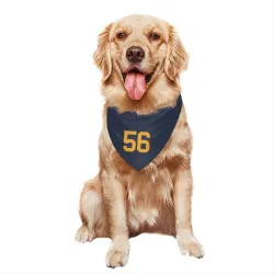 Green Bay Packers Edgerrin Cooper Navy Pet Bandana for Dog & Cat