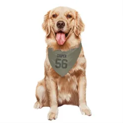 Green Bay Packers Edgerrin Cooper Olive Pet Bandana for Dog & Cat