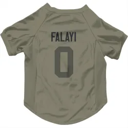Green Bay Packers Eni Falayi Olive Pet Jersey for Dog & Cat