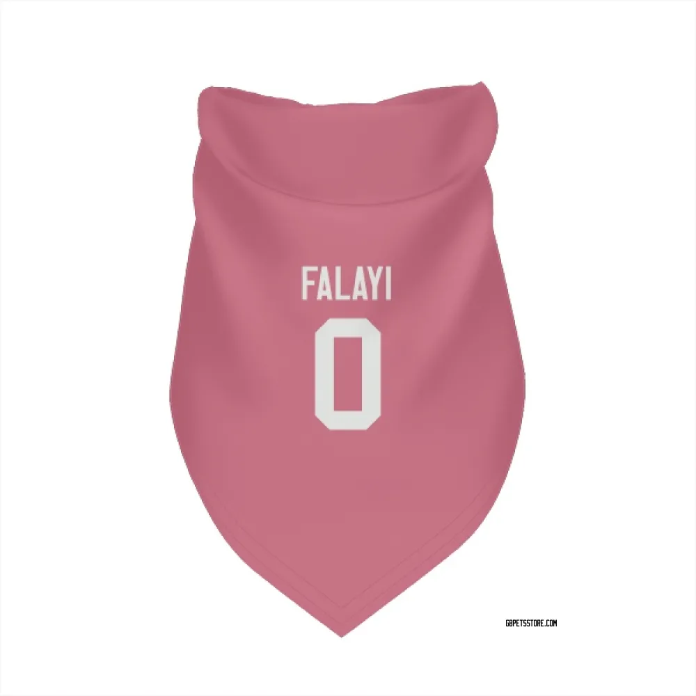 Green Bay Packers Eni Falayi Pink Pet Bandana for Dog & Cat
