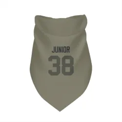 Green Bay Packers Gregory Junior Olive Pet Bandana for Dog & Cat