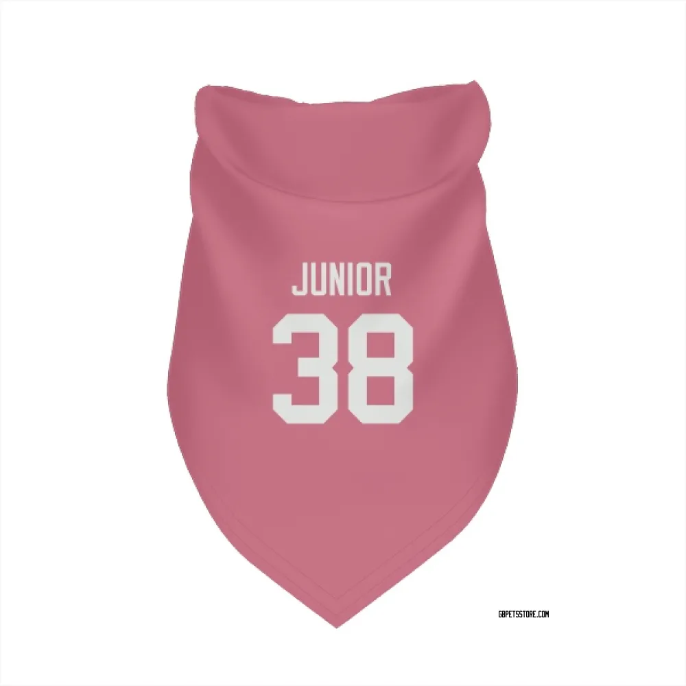 Green Bay Packers Gregory Junior Pink Pet Bandana for Dog & Cat