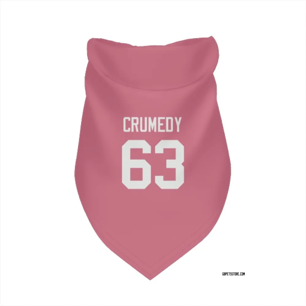Green Bay Packers Jaden Crumedy Pink Pet Bandana for Dog & Cat