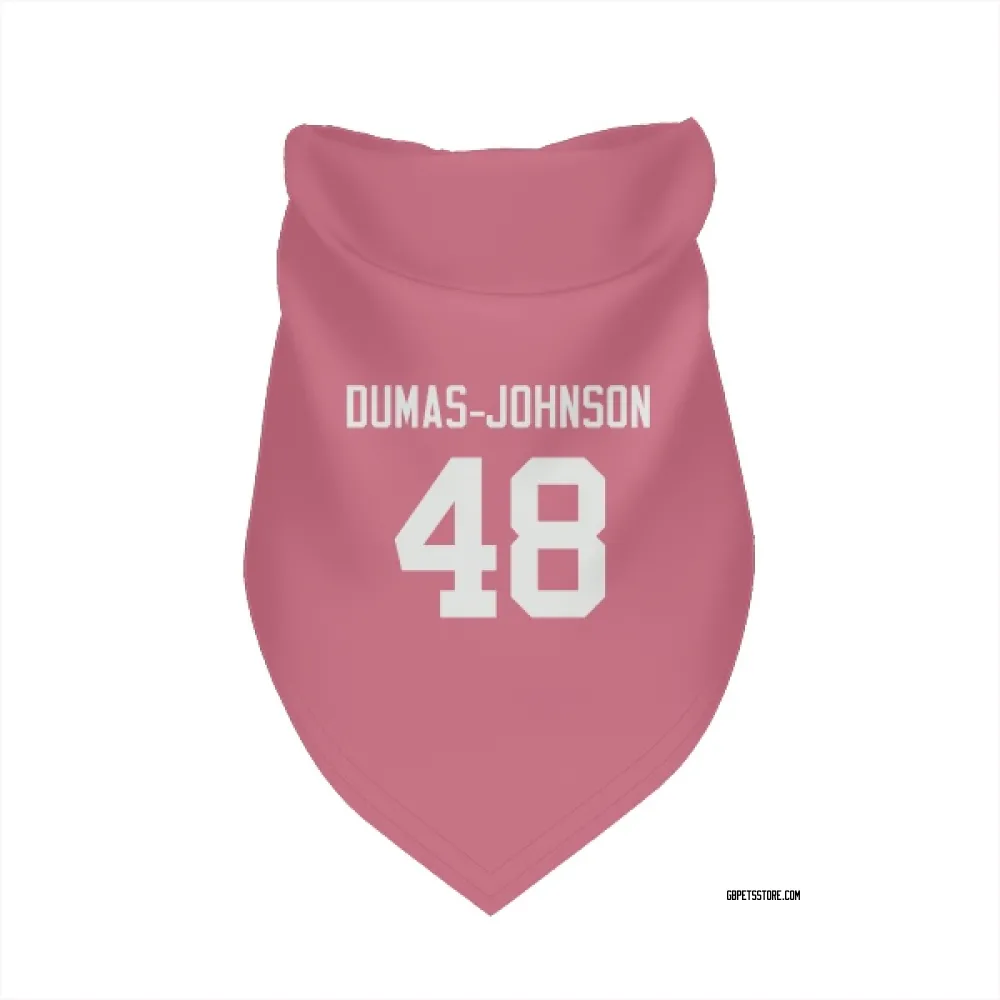 Green Bay Packers Jamon Dumas-Johnson Pink Pet Bandana for Dog & Cat
