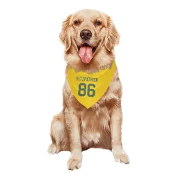 Green Bay Packers John FitzPatrick Gold Pet Bandana for Dog & Cat