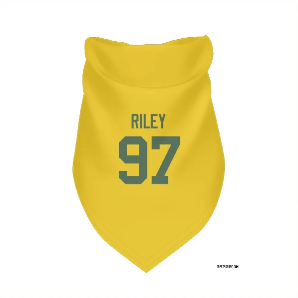Green Bay Packers Jordon Riley Gold Pet Bandana for Dog & Cat