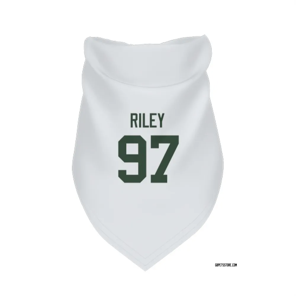Green Bay Packers Jordon Riley White Pet Bandana for Dog & Cat