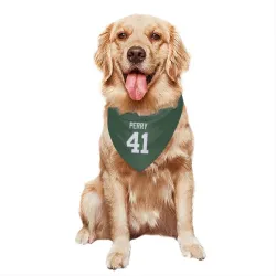 Green Bay Packers Mark Perry Green Pet Bandana for Dog & Cat
