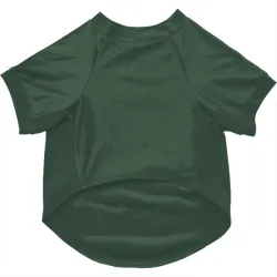 Green Bay Packers Nyjalik Kelly Green Pet Jersey for Dog & Cat