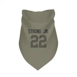 Green Bay Packers Pierre Strong Jr. Olive Pet Bandana for Dog & Cat
