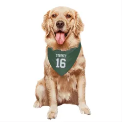 Green Bay Packers Rory Starkey Green Pet Bandana for Dog & Cat