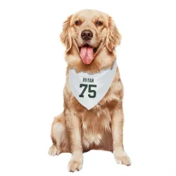 Green Bay Packers Sean Rhyan White Pet Bandana for Dog & Cat