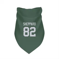 Green Bay Packers Will Sheppard Green Pet Bandana for Dog & Cat